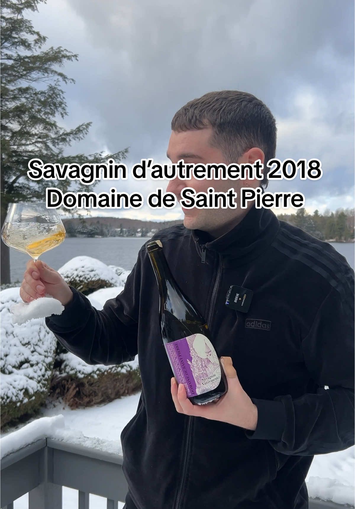 Savagnin d’autrement 2018 - Domaine de Saint Pierre #wine #naturalwine #domainedesaintpierre #jura #savagnin #fabricedodane