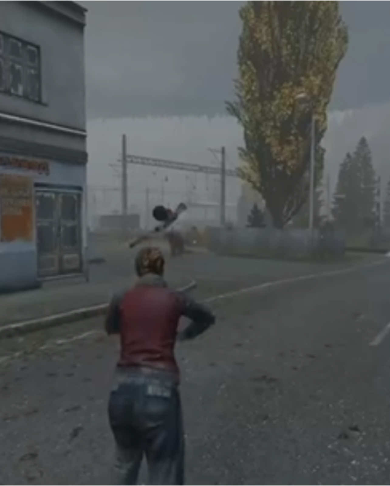 How to handle bears on DayZ #dayz #dayzstandalone #dayzclips #dayzmoments #gaming #gameplay 