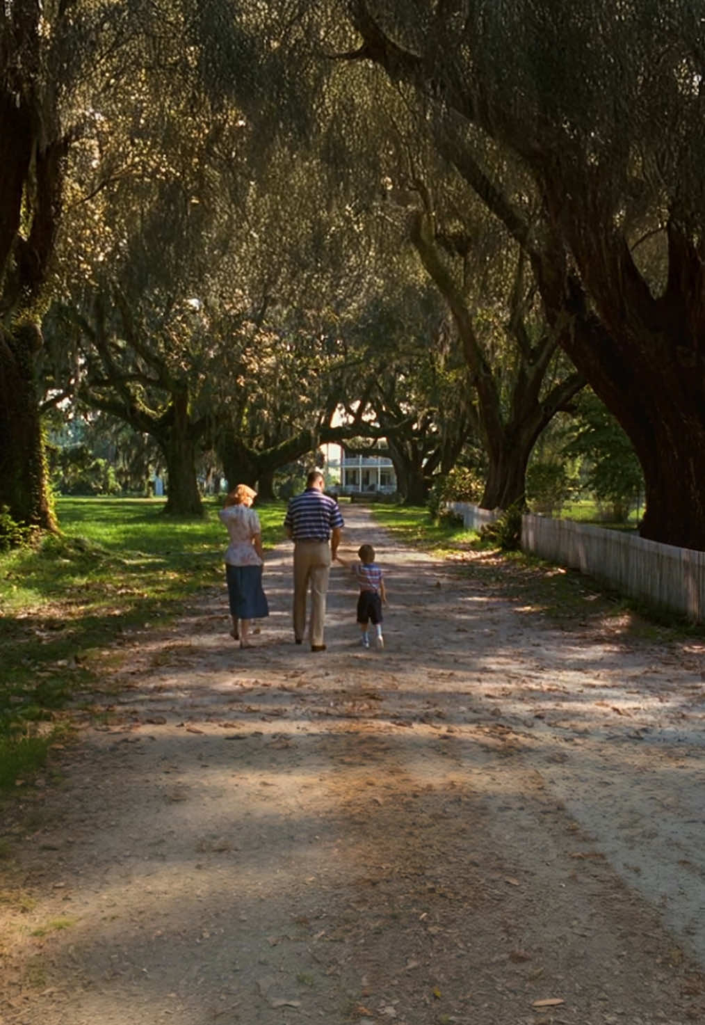 forrest gump uncropped. #forrestgump #tomhanks #cinema #movieedit #nostalgia #vertically