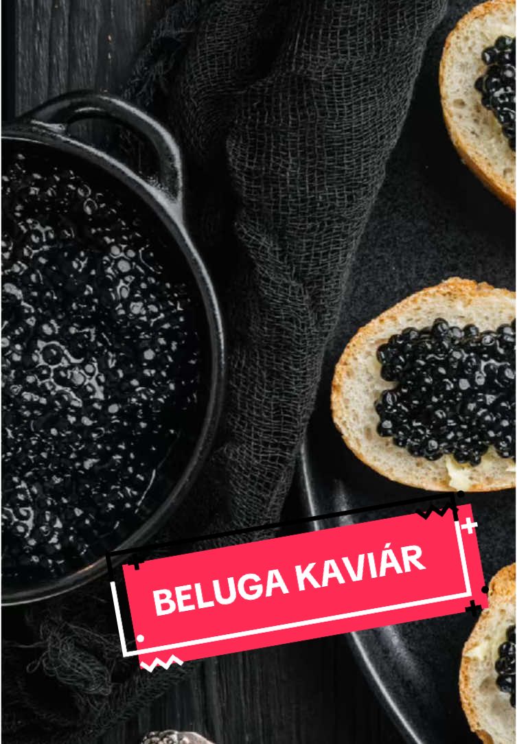 BELUGA KAVIÁR-🇷🇺🐟🐠 #CapCut #gastrorama #gasztrorama #food #Foodie #foodtiktok #FoodTok #FoodLover #foodies #foodreview #fyp #foryou #foryoupage #foryourpage #belugacaviar #caviar #caviares #caviarlovers #russia #russian #russiantiktok #russians #russianfood #russiancuisine #russianculture #oroszország #oroszország🇷🇺 #belugakaviar #belugakaviár #kaviár #kaviar #gasztro #gasztronómia #gasztrotura #gasztrohobbi #gasztroblogger #gasztropercek #gasztronomia #gasztronyomozas #gasztrobetyár 