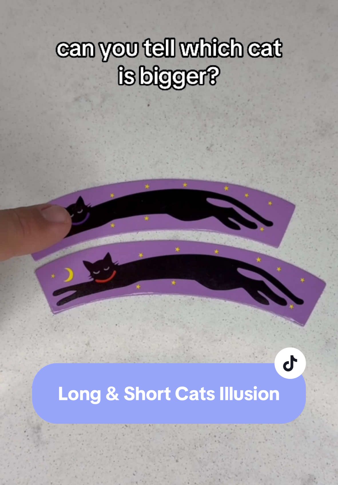 These Long and Short Optical Illusion Cats are the purrfect stocking stuffer gift to add some Christmas magic to the holiday season! #illusion #magictrick #cat #trick #magic #cats #giftideas #stockingstuffers #catsoftiktok #magician #opticalillusion #tiktokshopholidayhaul #fyp 