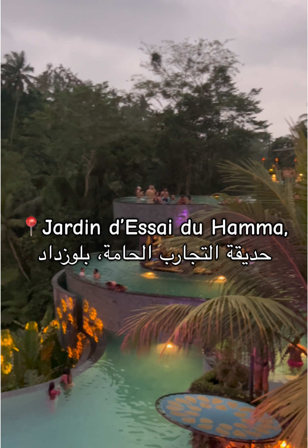 F’ Good vibes in Jardin d’Essai, DZ, Bali, 🤙 #jardindessai #belouizdad #alger #explore #vibes #goodvibes #fyp #اكسبلور #viral #dz #fpy #pourtoii #travel #explore #bali #tiktok #fyppp #f 