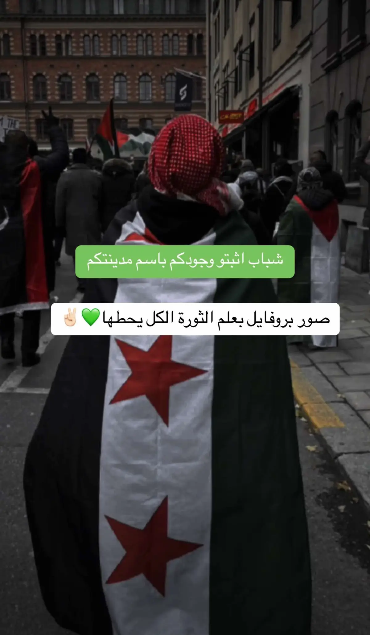 #علم_الثورة_السورية_💚 #CapCut #ثورة #سوريا 