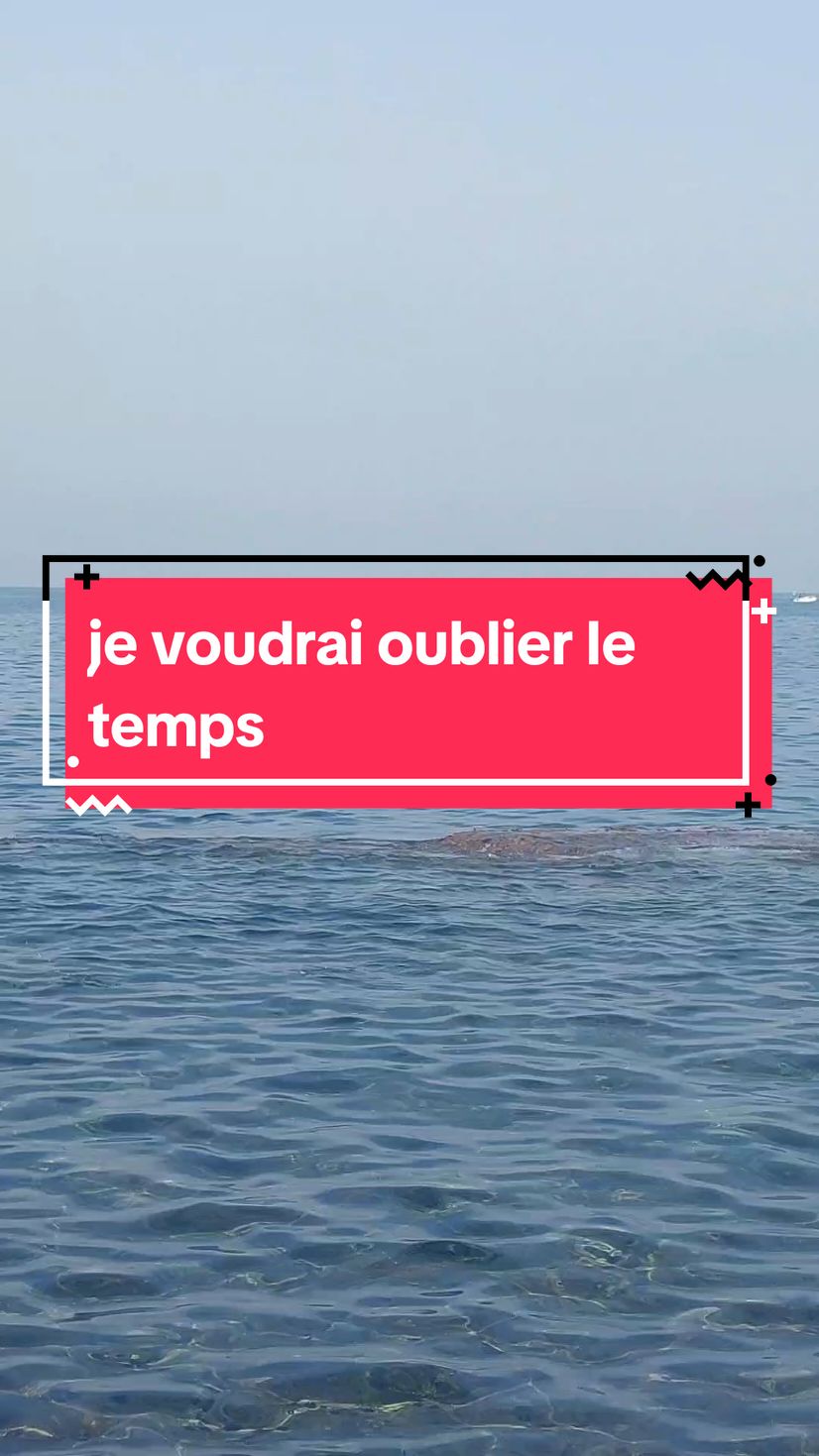 je voudrais oublier le temps... #apprendrelefrançais  #تعلم_اللغة_الإنجليزية #apprendresurtiktok #france🇫🇷 #france #paris 