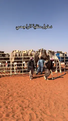 #عبدالمحسن_الراجحي #نايف_الراجحي #الراجحات 