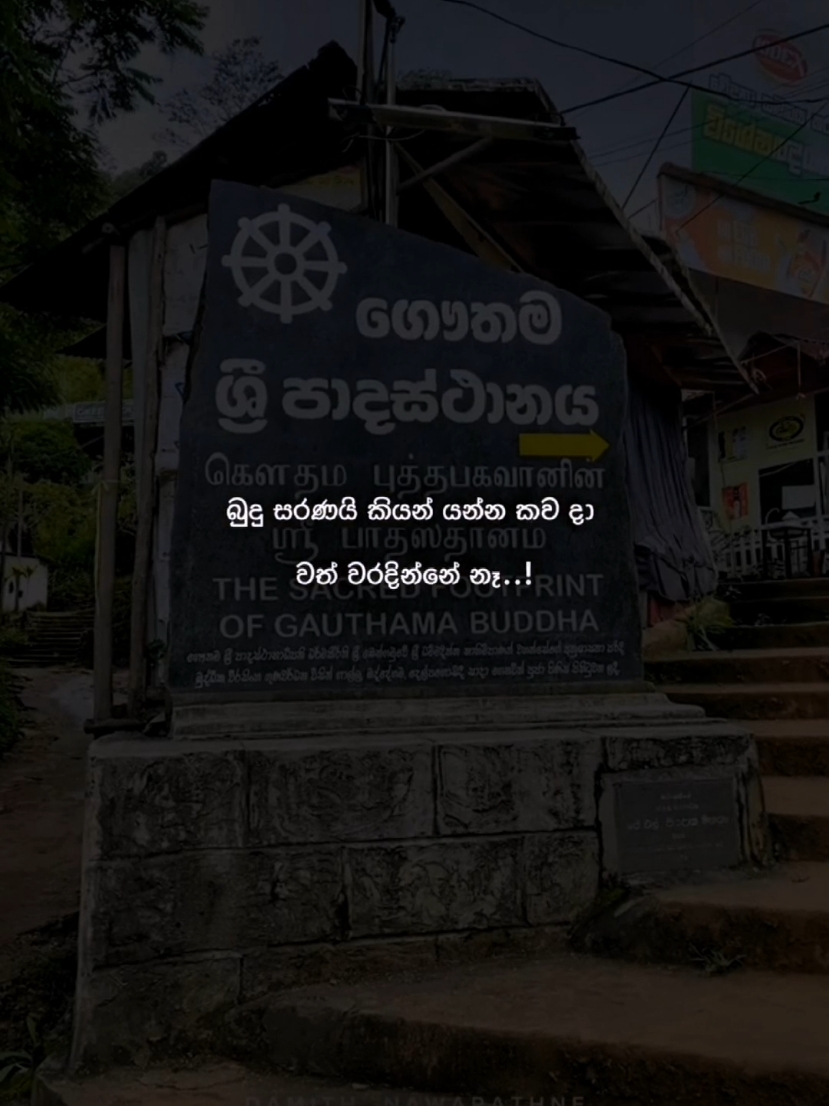 Part 23 | නොදැක්කා වගේ යන්න.එපා සුමන සමන් දෙවි රැකවරණින් හැම කෙනෙක්ටම " සිරිපා කරුණා කරන්න අවස්ථාව ලැබේවා !!!! "බුදු සරණයි,. ස🌻🌺☘️💎🍀 💐💐🌹🌹🌻🌻 හිත නිවන තැනක්🙏❤️🌼 #fyp #foryou #froyoupage #viral #trending #tiktokviral #tiktok #daladamaligawa #Dhaham_sagare #Dhahamsagare #දහම්සාගරේ #දහම්_සාගරේ #බුද්ධ_සාසනං_චිරං_තිට්ඨතු !!🌸 #buddhism #buddhist #සිරිපාකරුණාව #අනුරාධපුර #anuradapura #දළදා_සමිදු_පිහිටයි. #කරුණාව #සිරිපා #සිරිපාවන්දනවා