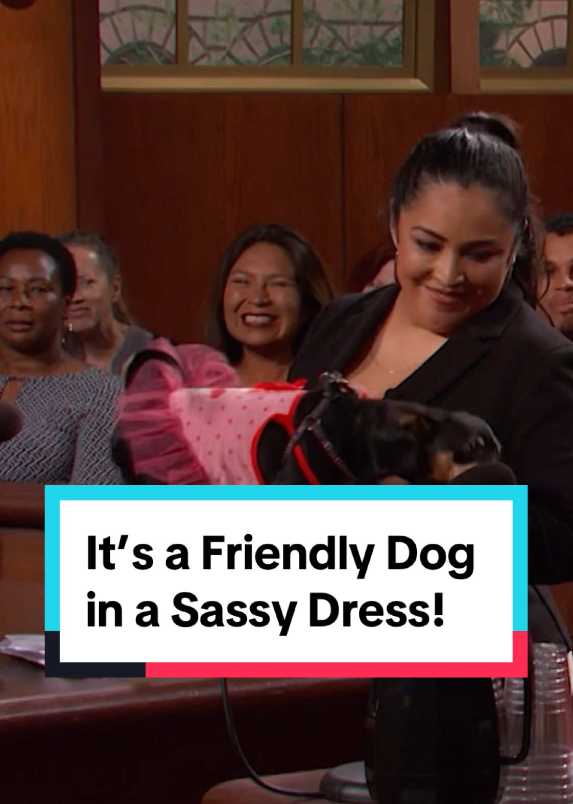 It's a friendly dog in a sassy dress! #judgejudy #tvshow #tv #dog #dogsoftiktok 