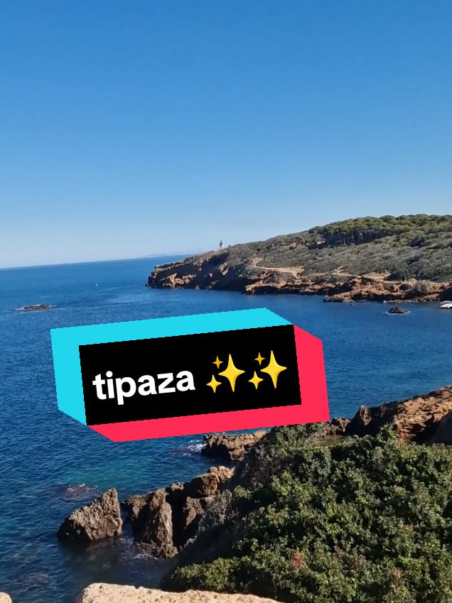 tipaza  ✨️✨️#belkadiislam #foryoupage❤️❤️ #viral_video #الشعب_الصيني_ماله_حل😂😂 #الجزائر #جولة_25المليونية #مصر🇪🇬 ##المغرب🇲🇦تونس🇹🇳الجزائر🇩🇿 @islam_belkadi @islam_belkadi @islam_belkadi 