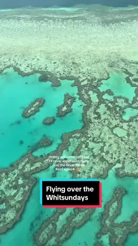 An unforgettable experience! Another thing ticked off the bucket list🥹 #greatbarrierreef #whitsundays #scenicflight #coral #theocean #oceanlife #ocean #marinelife #australia #wondersoftheworld #travelmoments #bucketlist #unbelievable #bucketlistmoment #bucketlisttravel #bucketlistvacations 