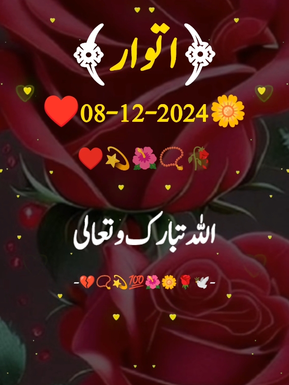 happy Sunday morning#foru  #forupage #fyp  #vairalvideo #urdupoetry #urdushairi #urdu #typ #status #100k #5000k #tiktoklover #1millionaudition #sajjadwrites02  #tiktokpakistanofficial @𓆩Sajjad ❦Writes☙ 