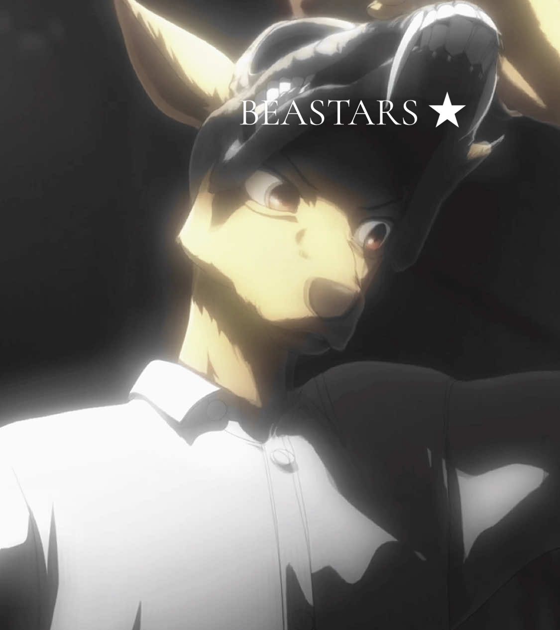 #BEASTARS || #1 Louis fan 🥇 || #beastarsedit #fypage #foryou #louisedit #editor #beastars #fyp 