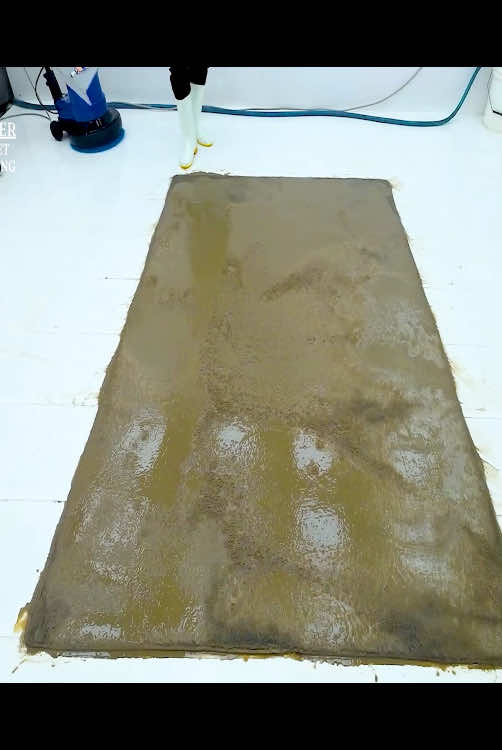 Satisfying with carpet cleaning asmr video #carpetcleaning #cleaning #cleaningasmr #asmrvideo #satisfyingvideo #asmrsleep #asmrsleepandrelax #relaxing 