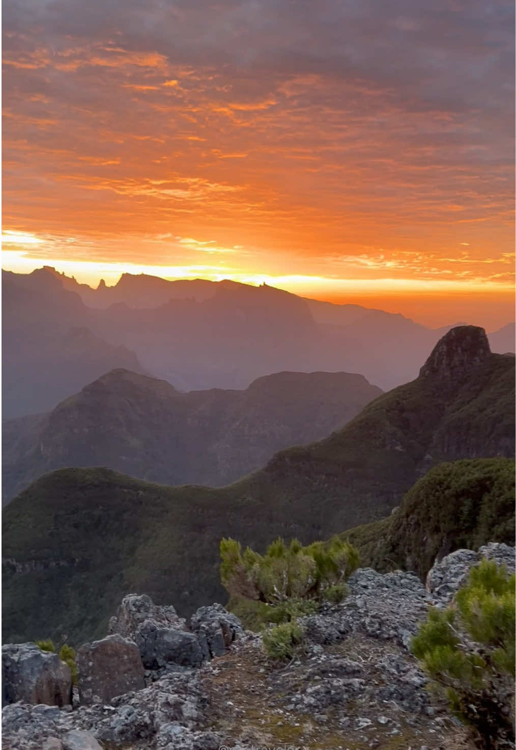 This hidden viewpoint is one of Madeira’s well-kept secrets—a spot so special it feels like stepping into a private club. It’s not marked on any maps, but those who have access to MY DIGITAL MADEIRA GUIDE hold the key to discovering it.  Watching the sunrise here is unlike anywhere else. The sun doesn’t rise from the horizon but from behind the towering peaks of the island, casting dramatic silhouettes before flooding the scene with golden light. It’s a moment of quiet awe, made even more special by the knowledge that this place remains a shared secret among us. By keeping these treasures discreet, we’re preserving their beauty and exclusivity. This is more than a location—it’s a bond between those who seek something truly extraordinary. 😉 Want to join the circle? MY INTERACTIVE GUIDE + MAP OF MADEIRA will lead you there 🔑  🔗 Link in bio 🌄 #MadeiraSecrets #HiddenMadeira #SecretSpots #MadeiraIsland #MadeiraGuide #SunriseHikes #HiddenGem #MadeiraNature #MadeiraViews #OffTheBeatenPath #ExploreMadeira #MadeiraTravel #EpicSunrise #WellKeptSecrets #MadeiraAdventures 