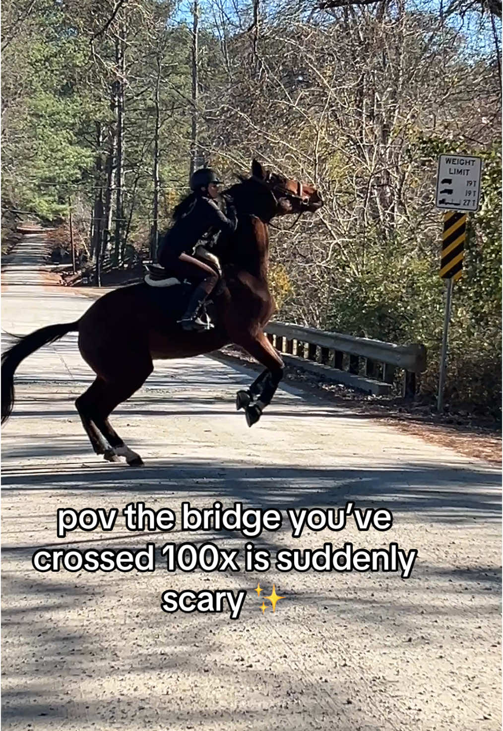 here is a bad moment along the good that I post. This happens too.  #fyppppppppppppppppppppppp #fyp #fypシ゚viral #viraltiktok #horse  #viral #viral #horsetok #equestrian #horsesoftiktok #horses 