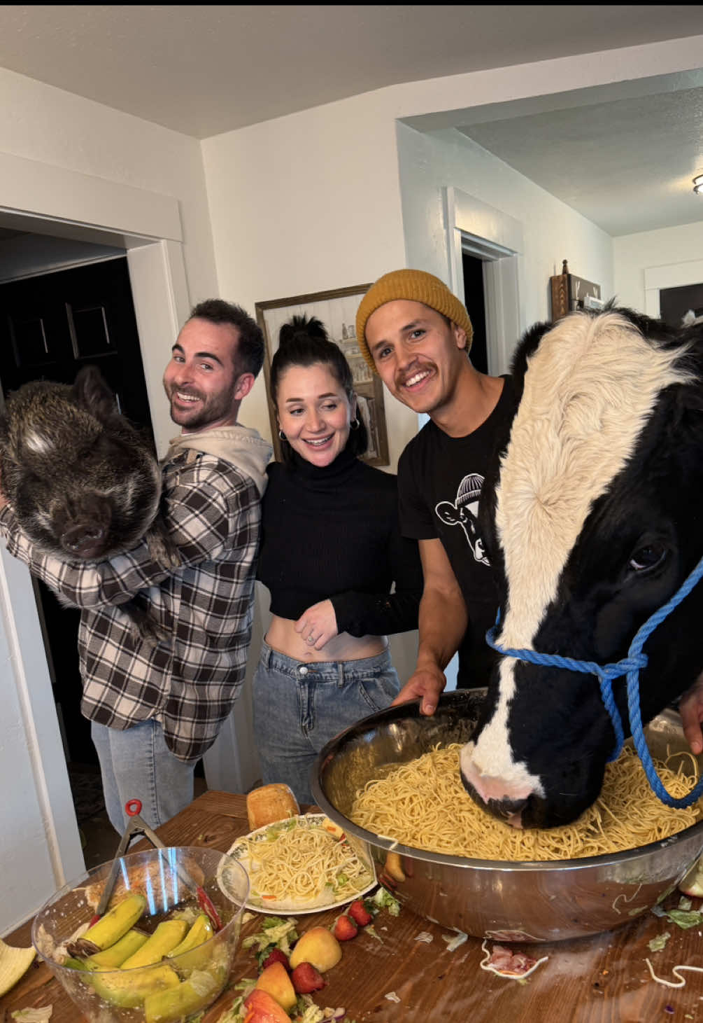 Trying to have a nice dinner with Bruce and Merlin! #cow #pig #brucethecow #farm #animals 