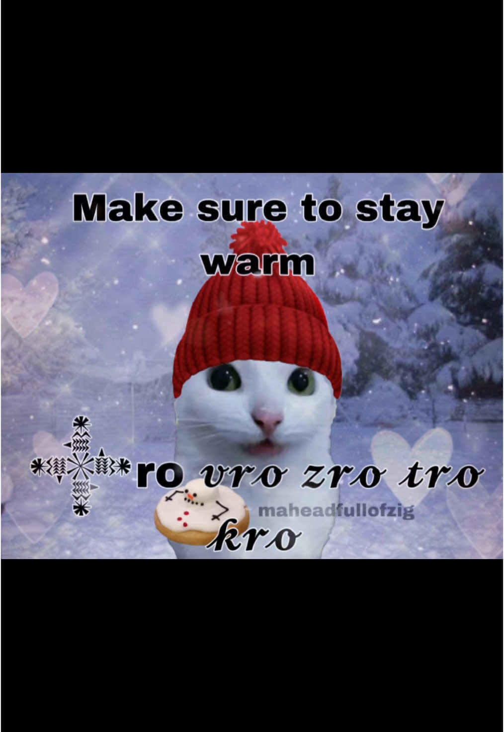 stay warm vro❤️ #maheadfullofzig #literallyme #real #rizzler #meowl #freakbob #sigma #cooked #fy #vro #lockedin #fyp #fypage #brainrot #relatable #peak #memestiktok #ifwu #fwu 