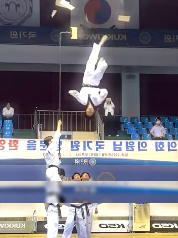 takewondo masters they are al black belts performing such good stunts and kicking  #activeblast #takewondo #kicking #kungfu #master #skills #sportstiktok #talentotiktok #tiktok #sports 