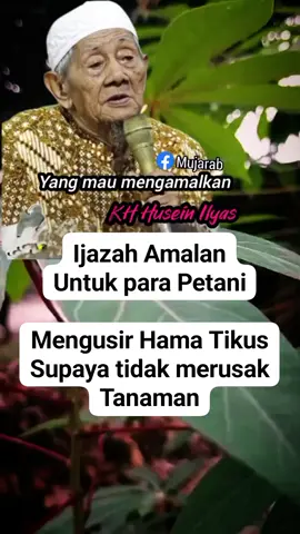 #ijazahamalandarikyaikhusainiIlyasuntukmengusirtikusdisawah#