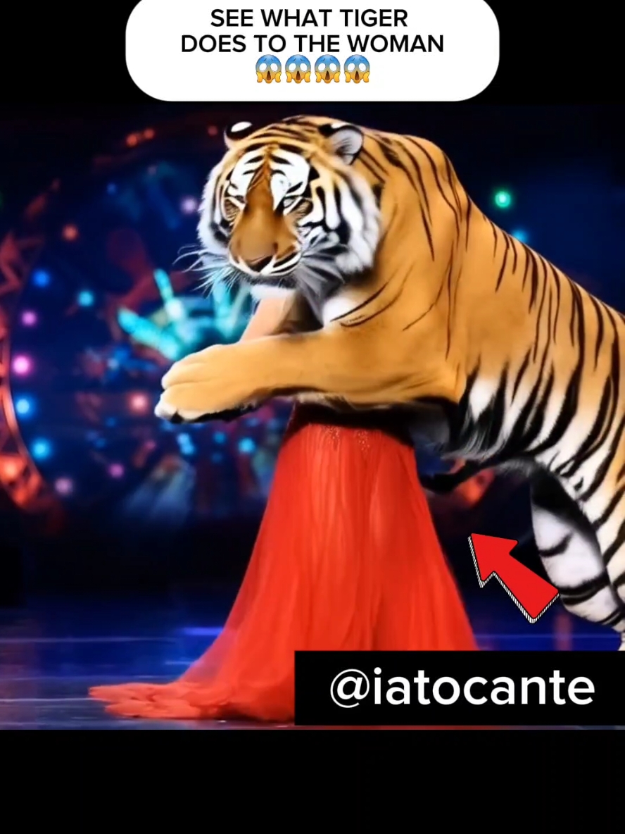 Giant Tiger goes out of control on AGT and terrifies judges and audience #agt #got #america #talent #show #tiger #americasgottalent 