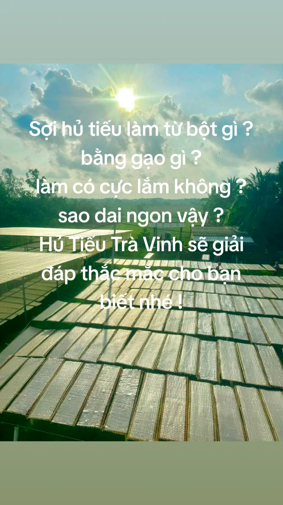 tại sao sợi hủ tiếu lại dai ? làm từ nguyên liệu gì ?  #xuhuong #nhacxuhuong #chídũng #ancungtiktok #fypシ゚ #hutieu 