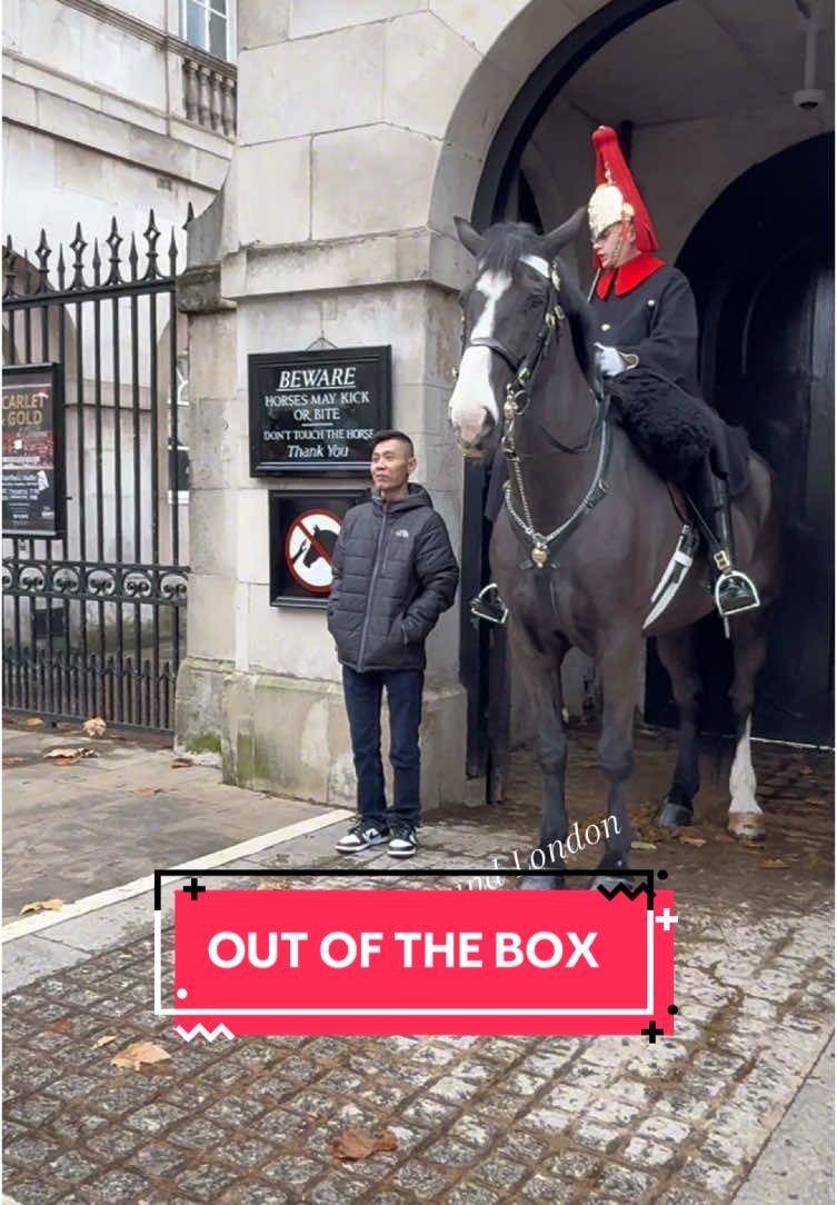 Horse Guards London #tiktok 