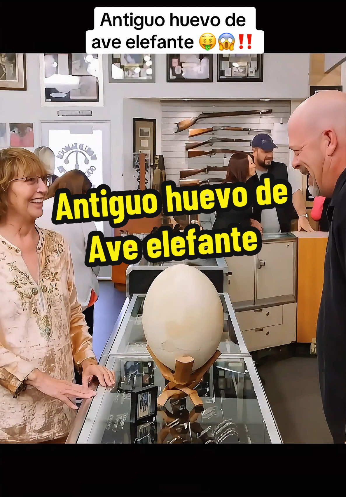 Antiguo huevo de ave elefante #elpreciodelahistoria #historia #antiguedades #coleccion #coleccionista #historychannel 