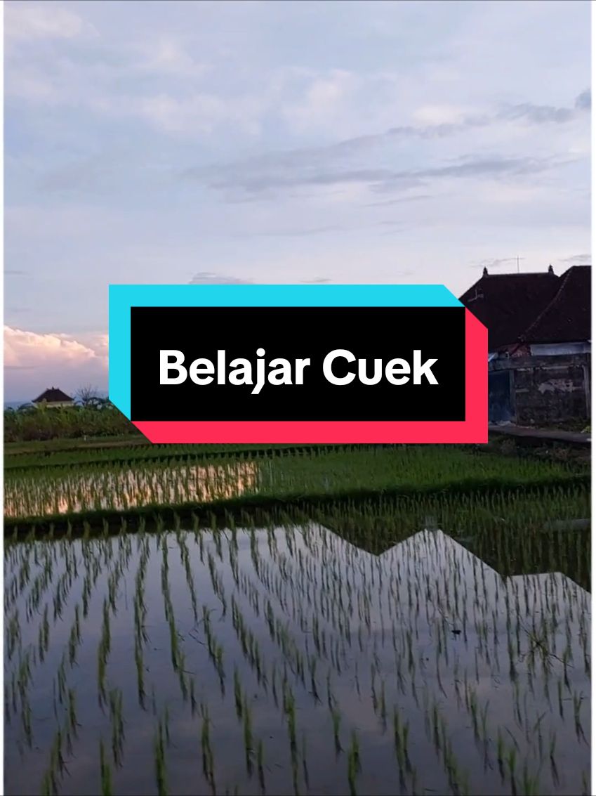 Belajar Cuek #belajar #cuek 