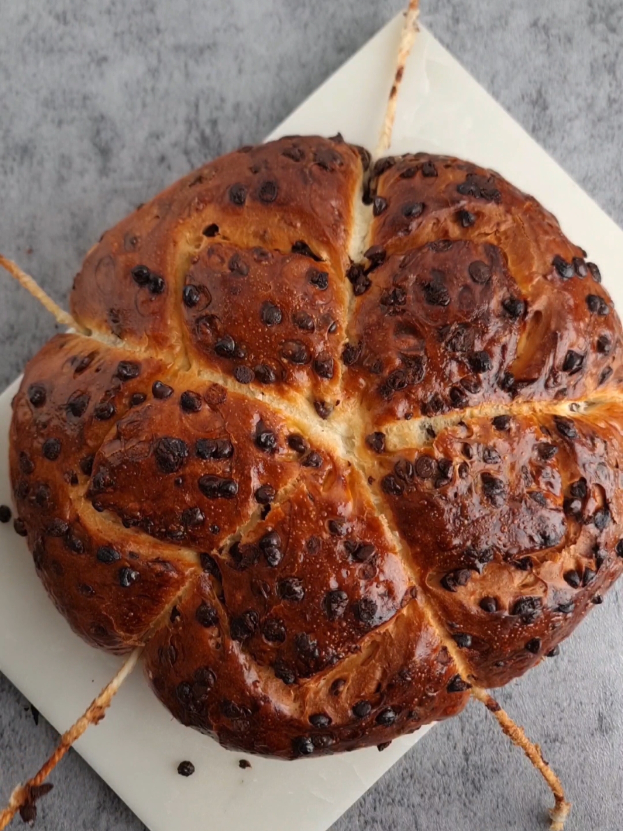 Cramique pépites de chocolat  500 g de farine 20 g de levure de boulanger fraîche 2 œufs 80 g de sucre 250g de lait 80 g de beurre 200 g de pépites de chocolat 10 g de sel Dans le bol d'un batteur verser tout les ingrédients sauf les pépites de chocolat, pétrir jusqu'à ce que la pâte se détache des parois du bol. Couvrir et laisser doubler de volume  Ajouter les pépites de chocolat  Former la brioche et laisser doubler de volume  Badigeonnez avec un œuf battu et cuire à 180° 40 à 50min 🇬🇧 Cramique chocolate chips 500 g flour 20 g fresh baker's yeast 2 eggs 80 g sugar 250 g milk 80 g butter 200 g chocolate chips 10 g salt In the bowl of a mixer pour all the ingredients except the chocolate chips, knead until the dough comes away from the sides of the bowl. Cover and let double in volume Add the chocolate chips Form the brioche and let double in volume Brush with a beaten egg and cook at 180 ° 40 to 50min