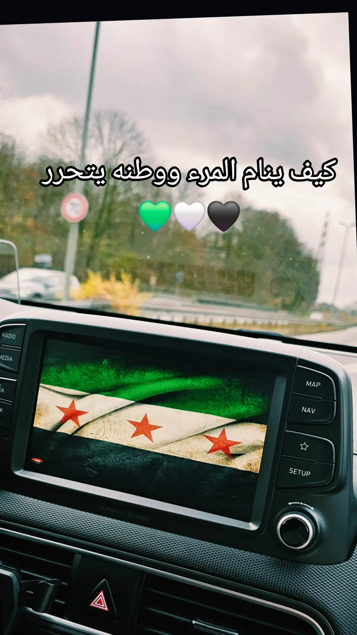 #💚💚💚 #دمشق #سوريا #💚 #💚🤍🖤 