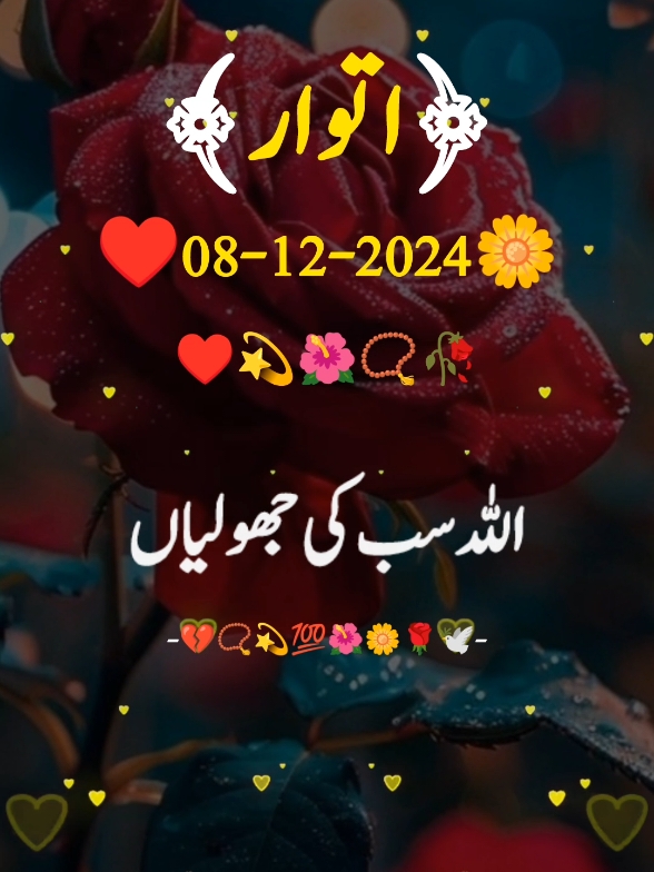 happy Sunday morning#foru  #forupage #fyp  #vairalvideo #urdupoetry #urdushairi #urdu #typ #status #100k #5000k #tiktoklover #1millionaudition #sajjadwrites02  #tiktokpakistanofficial @Allah.is.My.Only.Hope @𓆩Sajjad ❦Writes☙ 