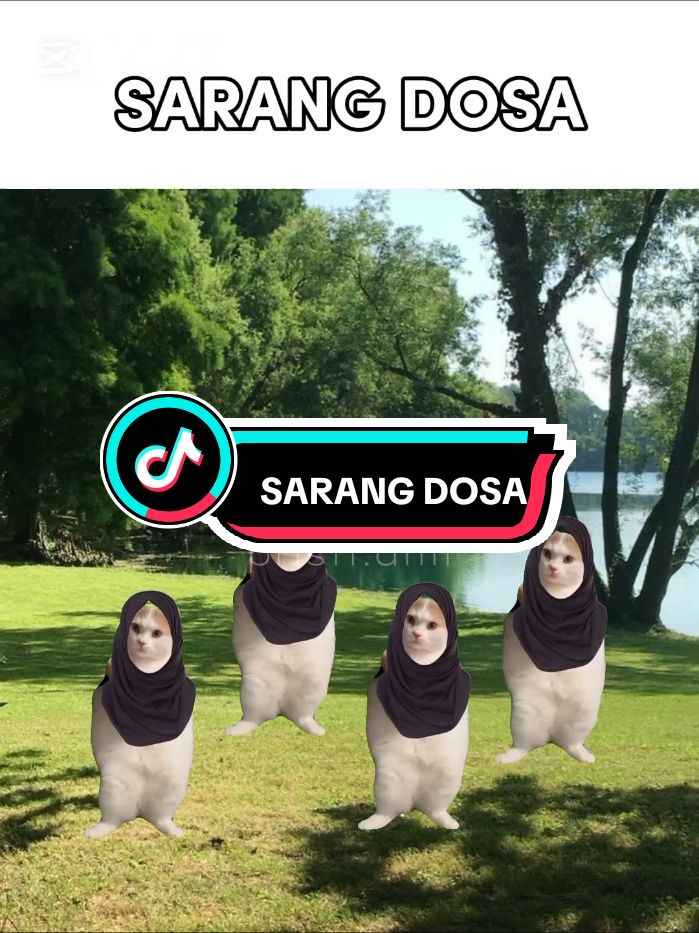 #memekucing #meme #sarangdosa #fyp 