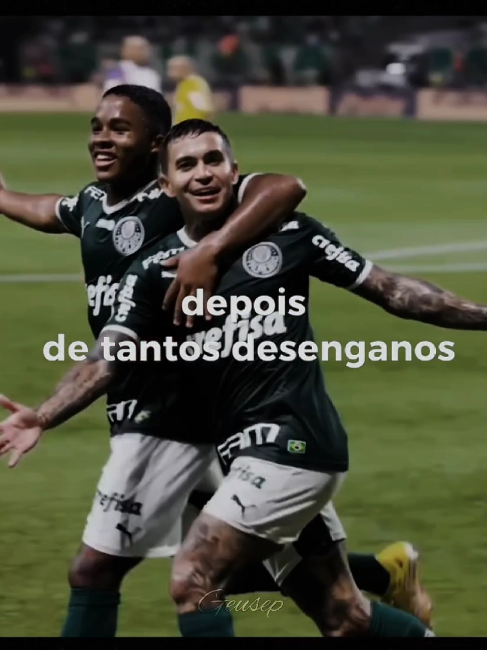 sempre acaba. #dudupalmeiras #palmeiras #brasileirão #despedida 