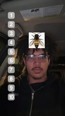 Ranking bugs that would land on me 🥲#fyp #foryoupage #bugs #trend 