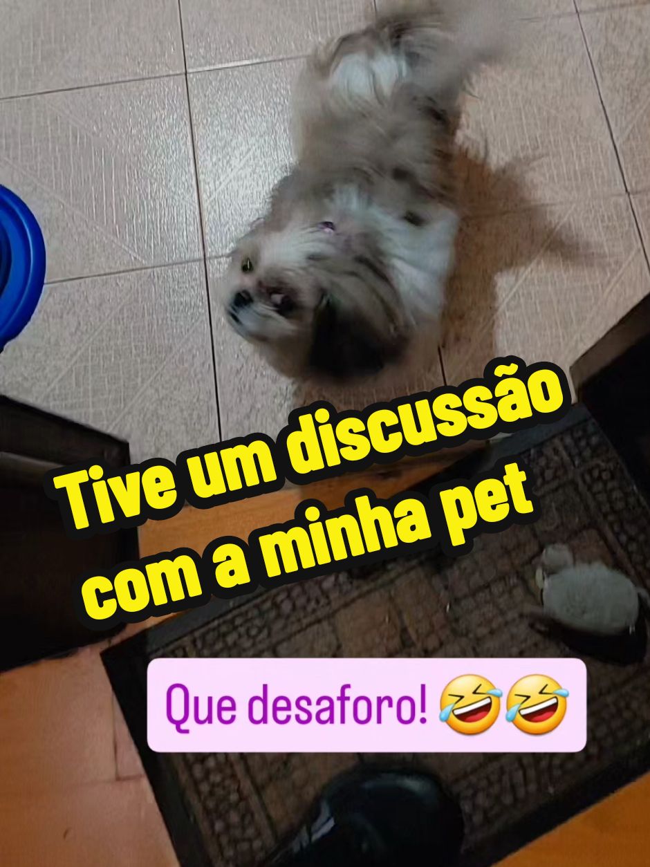 Agente ama, cuida e trata bem....pra ser xingado depois? há não 🤭🤣🤣🤣🤣 #fyp 