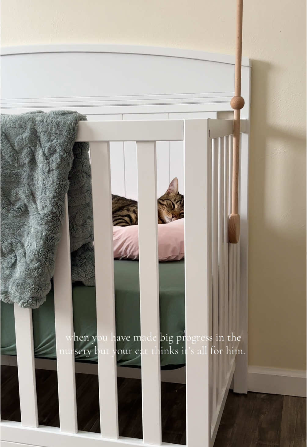 excuse me sir, this crib is not for you 😂 - also no those pillows won’t stay there when baby girl sleeps, just being stored there for now! #thirdtrimester #nurserydecor #7monthspregnant #31weekspregnant #februarybaby #catsbeingcats #babycrib 