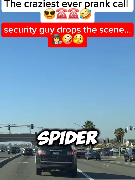 security guy drops the scene 🤪🤣😎 #phonecall #prank #prankcall #Fyp #funnyy #funny 