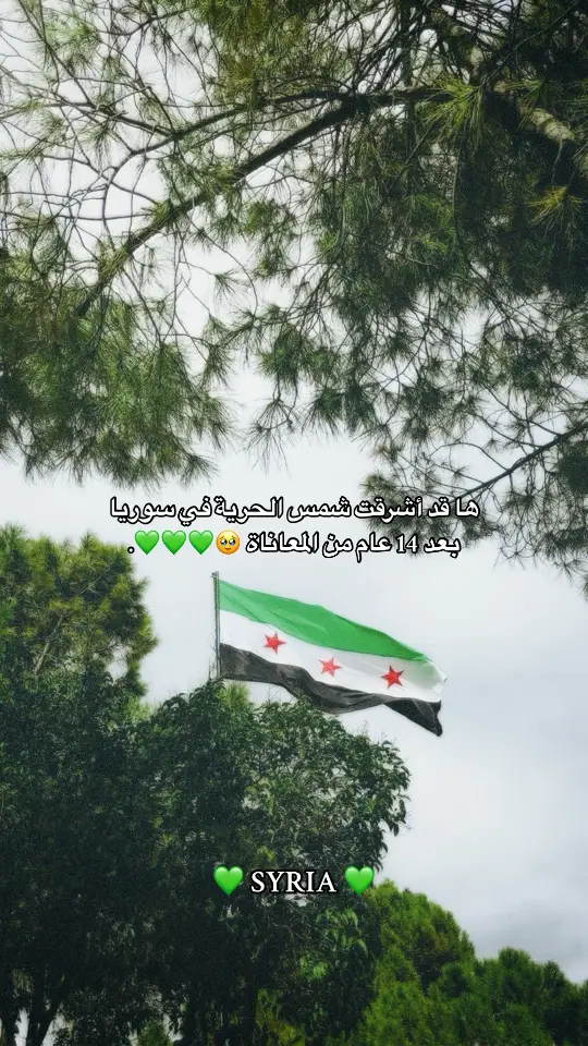 #syria #ثورة #حلب 💚🥹