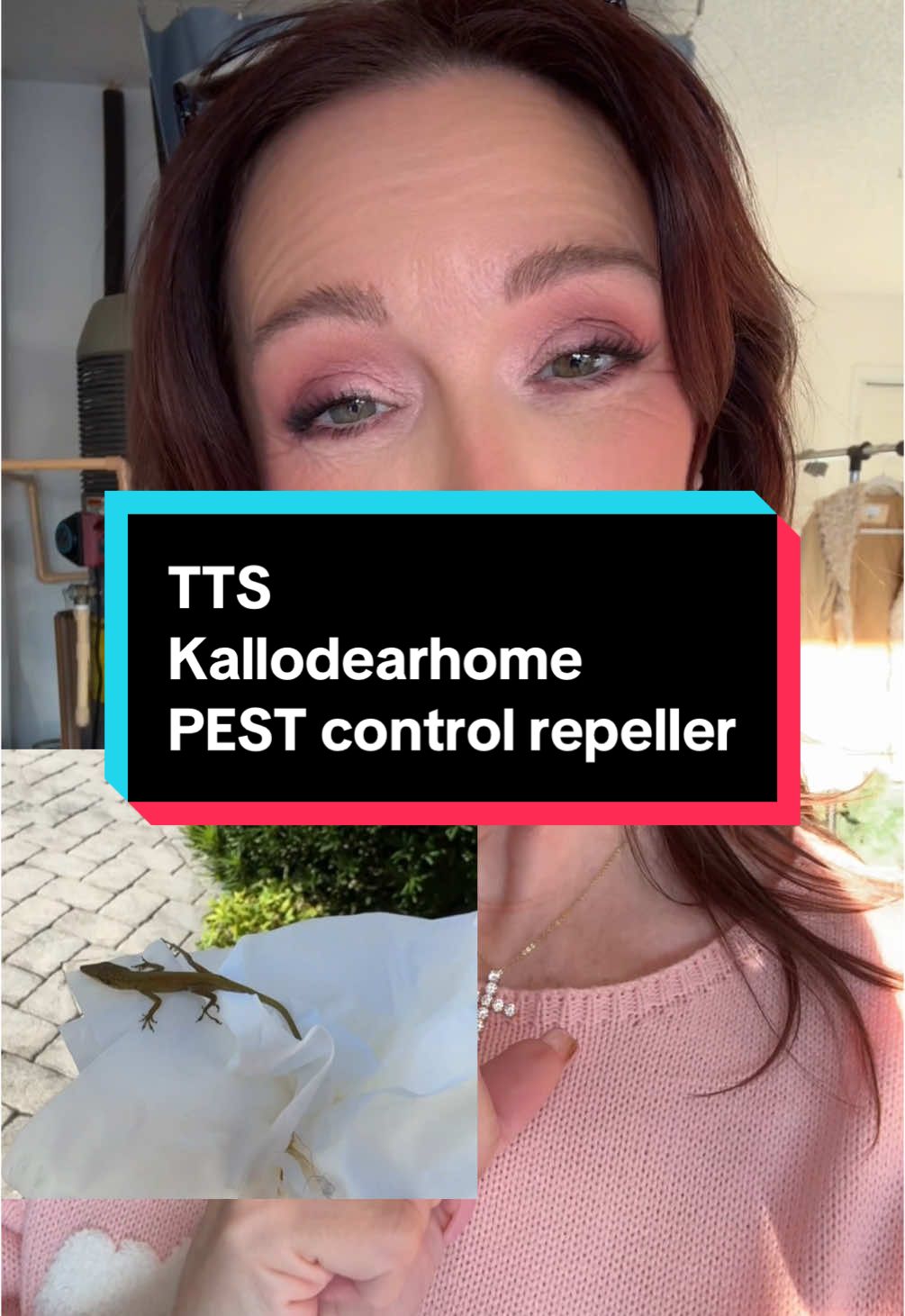 @KALLODEAR HOME #pestrepeller #pestcontroller #whitebengaltiger 