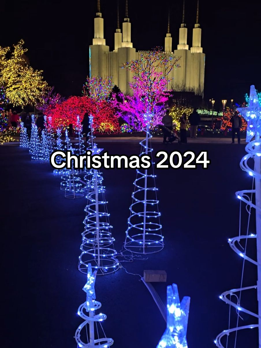 Christmas 2024 🎄. #christmas #christmaslights #chrismastree #washingtondc #creatorsearchinsights 