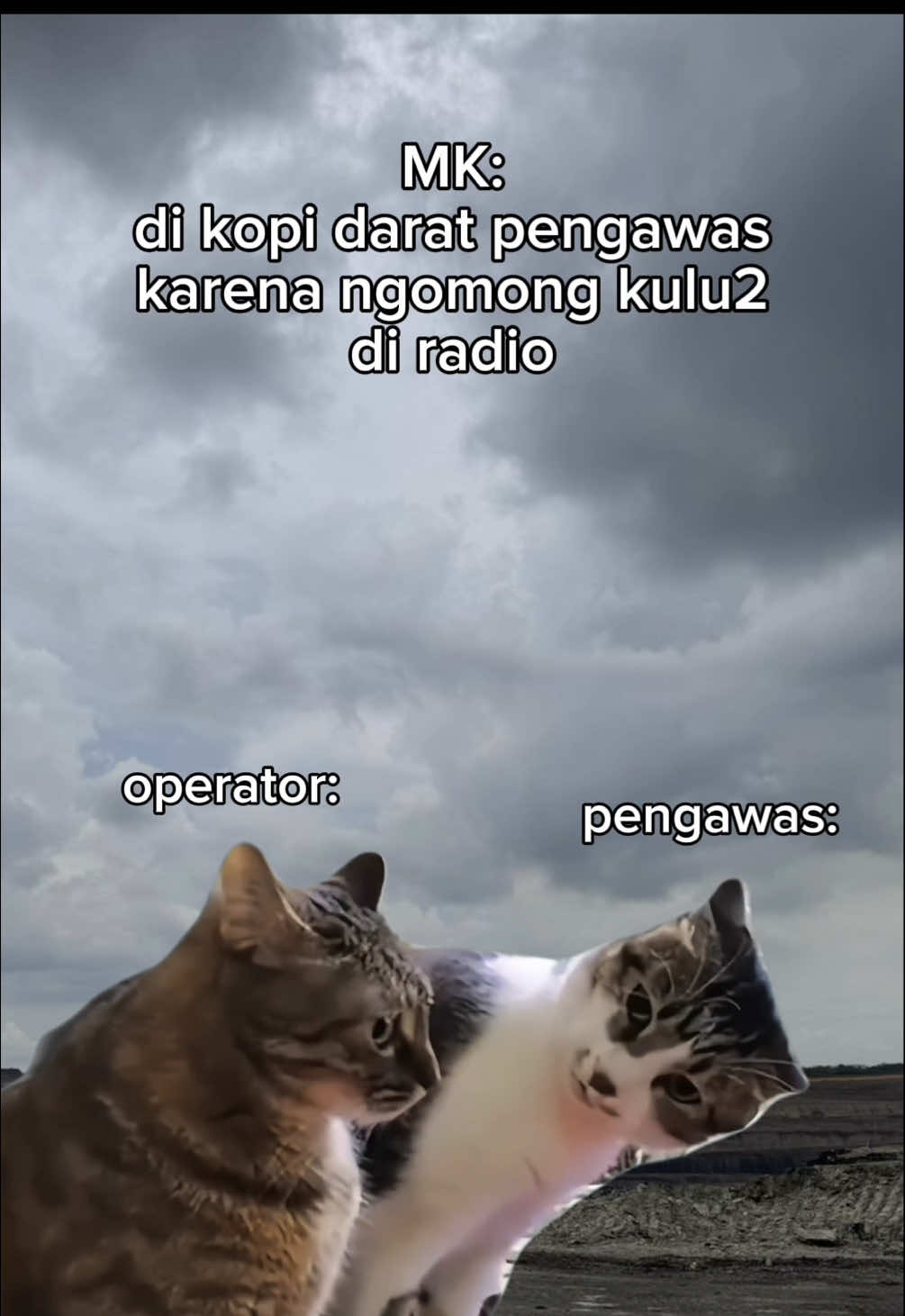 Karena kulu kulu adalah kunci 😹🌧️ #storyanaktambang #anaktambang #tambangbatubara #memekucing #catmeme #kucing #meme 