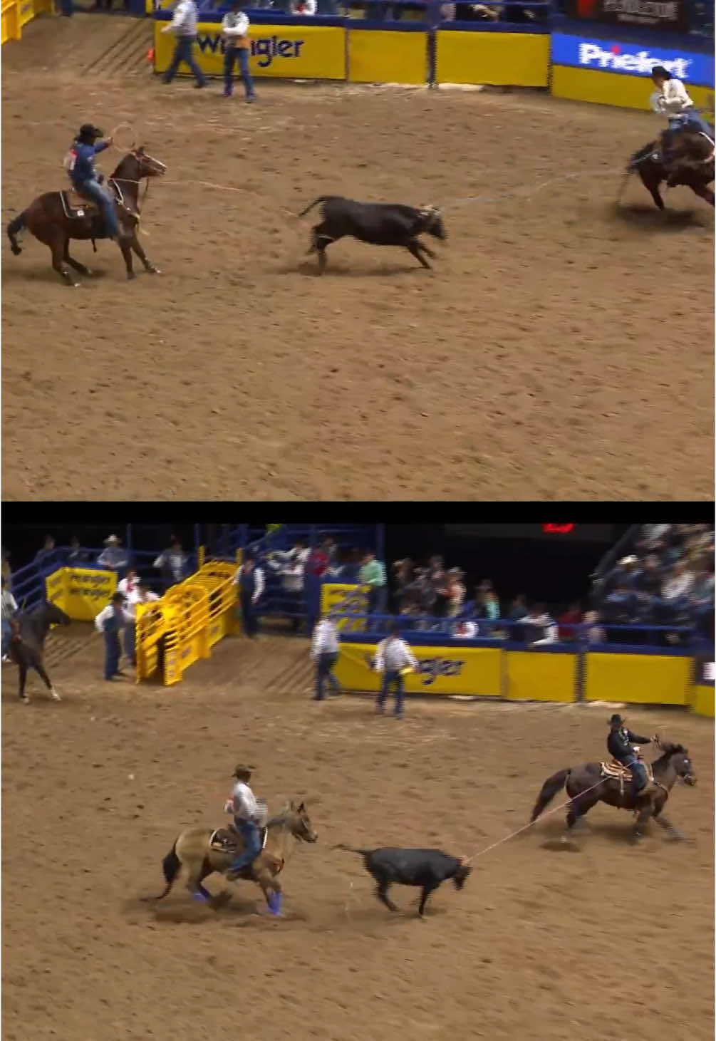 Its a TIE  Team ropers Dustin Egusquiza/Levi Lord and Kaleb Driggers/Junior Nogueira share the Round 3 win at 3.7 seconds  #weareprorodeo #wranglernfr #Standlee