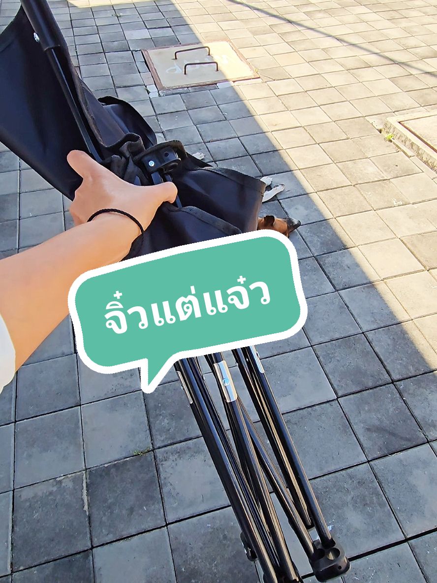 จิ๋วแต่แจ๋ว #เก้าอี้มินิ #เก้าอี้แค้มปิ้ง #เก้าอี้สนาม #เก้าอี้พกพา #tichashop 