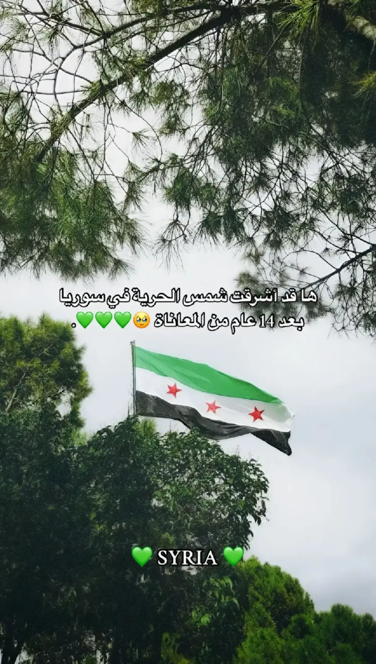 أنحنُ بحُلمٍ أم بعلم!💚💚  وتشاءُ أنت من المعارك قريةً  ويشاءُ ربك أن يُعيد لك الوطن #دمشق_الياسمين 