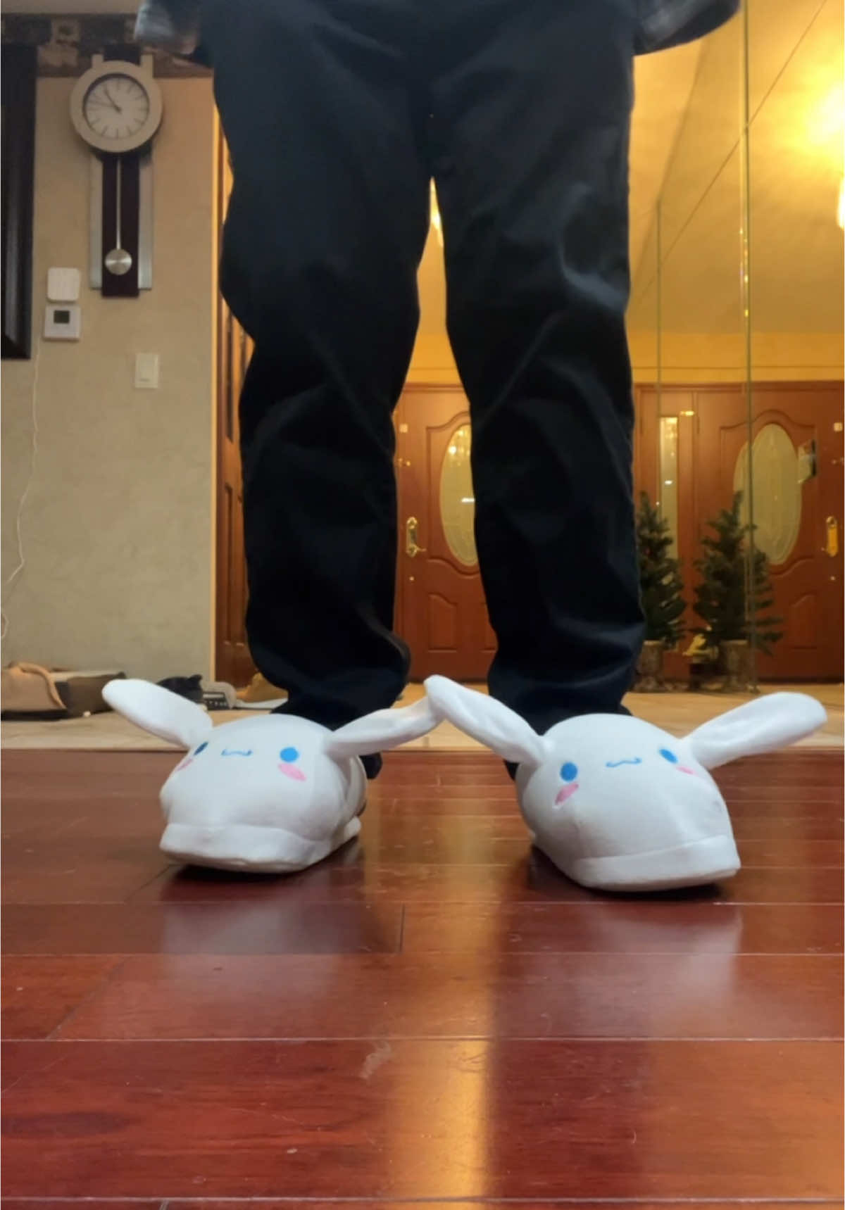 I got my slippers to highfive 🤩 If you don’t like cinnamoroll, there are 3 other options to choose from! Great christmas gift and if you get two pairs, you can hold ears with your partner 🥰 #sanrio #cinnamoroll #sanrioaesthetic #sanriocore #gift #giftidea #christmasgift #christmasgiftideas #fyp #TikTokShop #holidayhaul 