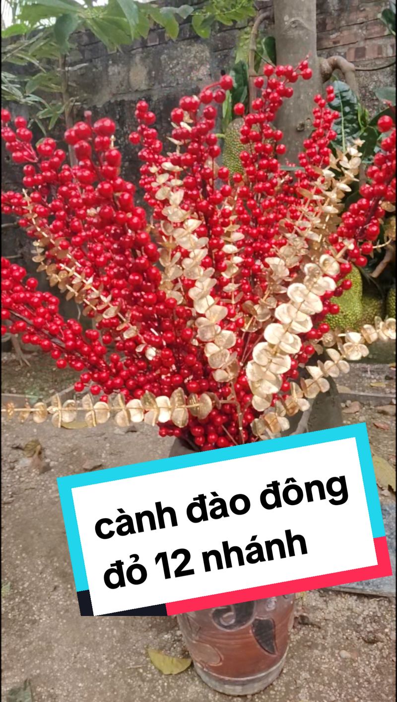 cành đào đông đỏ 12 nhánh #daodongdo12nhanh #daodongdo #tet #2025 #tailoc #trangtritet 