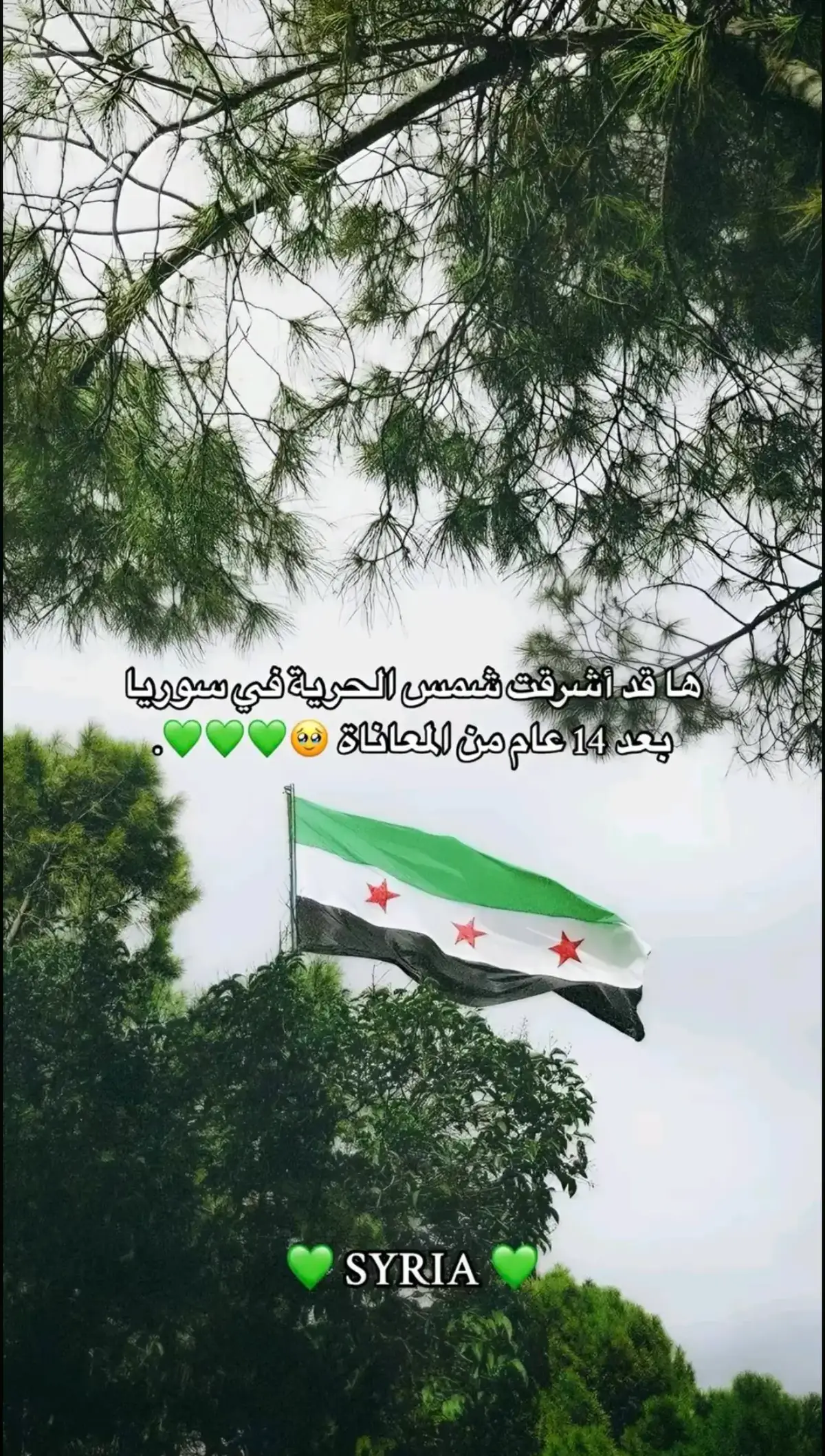 #سوريا_حرا_ابيه✌️💚✌️ 