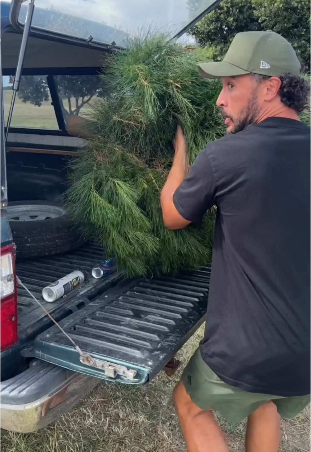Meanwhile in New Zealand 😅 #christmas #nz #newzealand #aotearoa #kiwi #christmastree #howtodadnz 