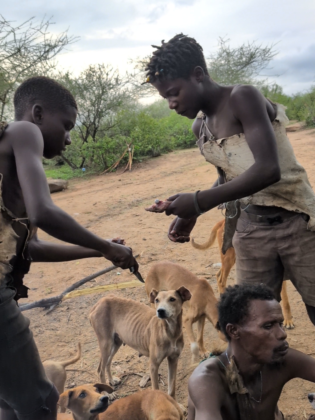 This was a delicious breakfast I had with bushmen middle of forest 😋‼️😲#hadzabetribe #africatribes #villagelife #USA #tiktok 