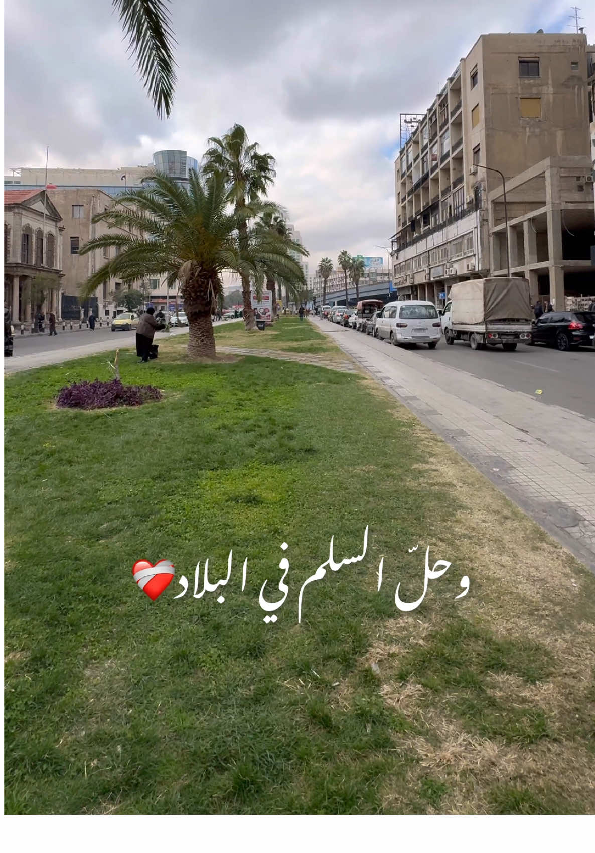 مبروك لسوريا 💚 مبروك للسوريين 😍 والفرحة الكبيرة في فلسـ.طين 🤲  سورية حرة ✌️ معكم لحتى ترجع سوريا توقف على رجليها 🕊️ بتستاهلوا كل خير 🥰 . . . #سوريا #دمشق #الشام #سوريا_بتجمعنا #حلب #طرطوس #اللاذقية #حمص #حماة #درعا #الرقة #ديرالزور #ساهر #syria #damascus #syrian #aleppo #homs #hama #damas #saher 