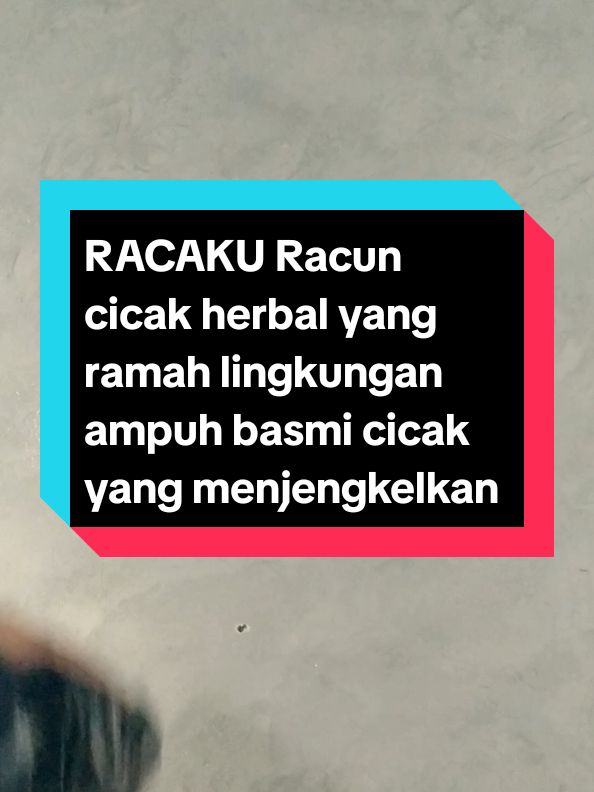 RACAKU Racun ampuh membasmi cicak #racaku #racakuracuncicakherbal #racuncicak #racuncicakviral #kakung081 